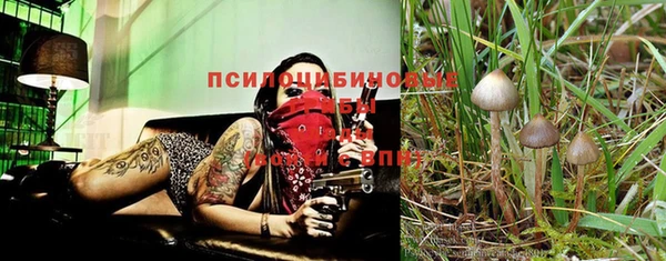 ECSTASY Бугульма