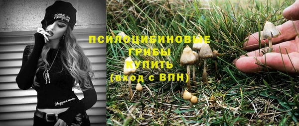твердый Бронницы