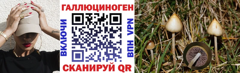 Галлюциногенные грибы GOLDEN TEACHER  Купить где  Малоярославец 